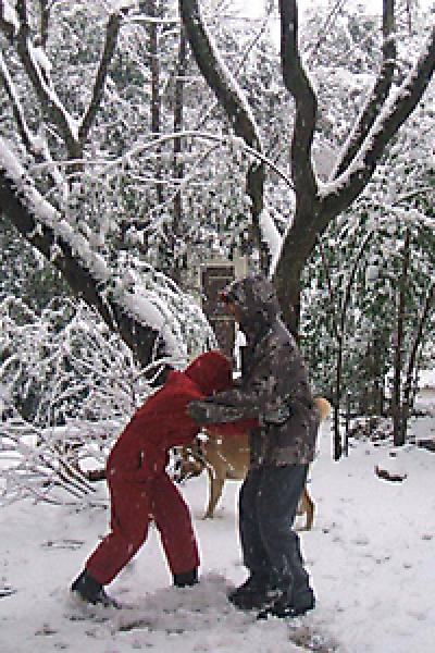 Le Centre 20100622 1820094599