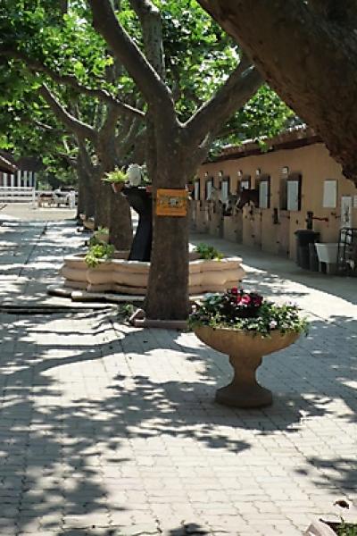 Le Centre 20100707 1882144103