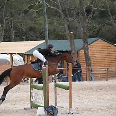 Les Concours 20121016 1041905179