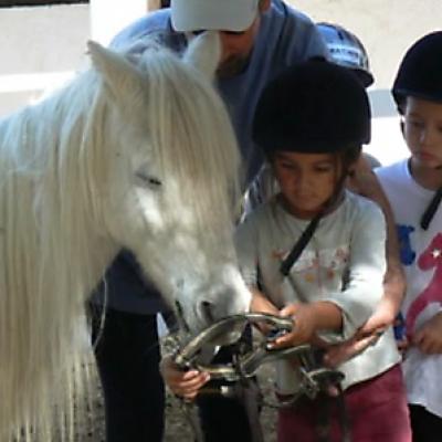 Ecole Shetland 20121016 1045520638