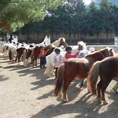 Ecole Shetland 20121016 1137550078