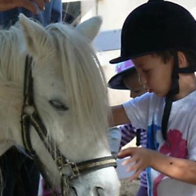 Ecole Shetland 20121016 1171478242