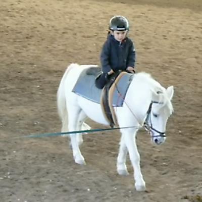 Ecole Shetland 20121016 1517707857