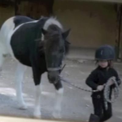 Ecole Shetland 20121016 1585011417