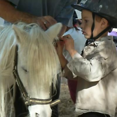 Ecole Shetland 20121016 1988698424