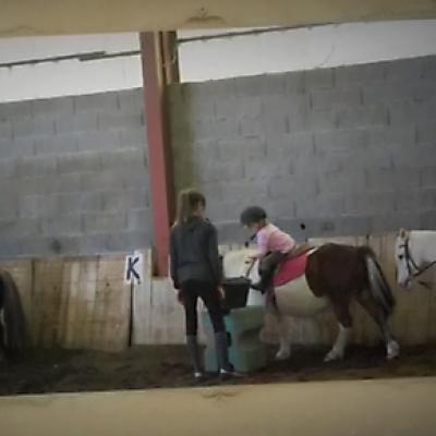 Ecole Shetland 20121016 2010308927