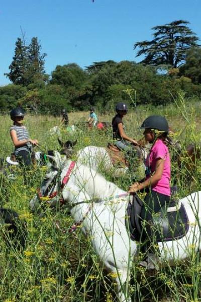 11047603 546084922206088 7308062815298878907 N