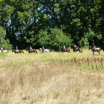 11218061 546085185539395 2728187083190788694 N