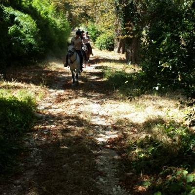 11231911 546085345539379 5531582976797573864 N