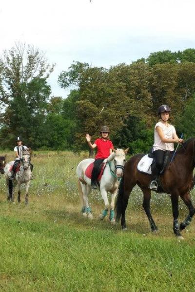 11811568 546081972206383 9134348433267883429 N