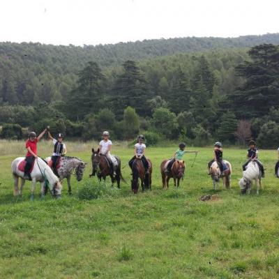 11813343 546082175539696 3986170994632207848 N