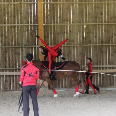 11954 496120360441774 1080855277 N