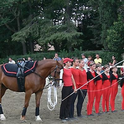 Voltige 20121016 1344370937