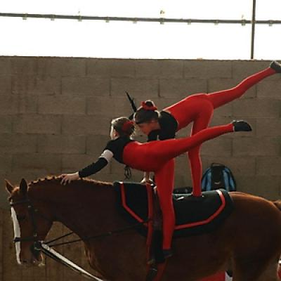 Voltige 20121016 1494729320