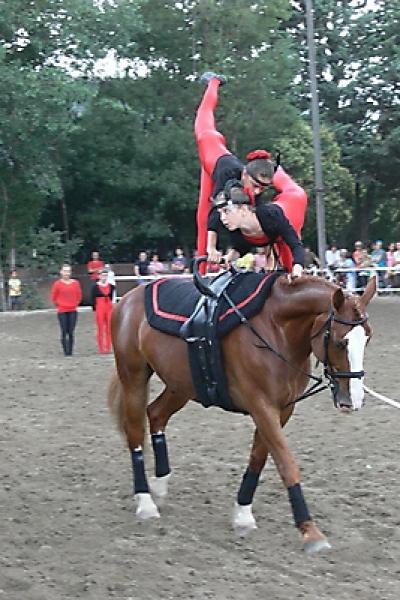 Voltige 20121016 18844158673