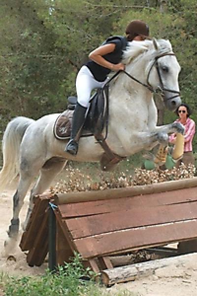 Cross 20121016 1023405021