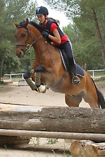 Cross 20121016 1489518930