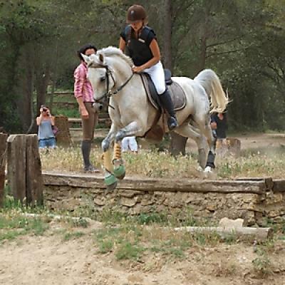 Cross 20121016 1618356534