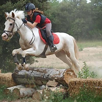 Cross 20121016 1738299543