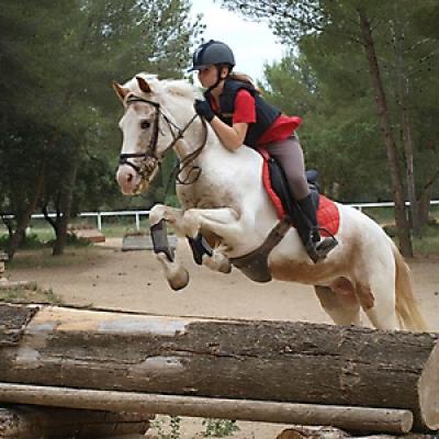 Cross 20121016 1793897997