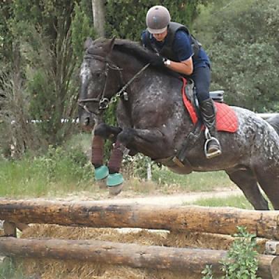 Cross 20121016 1829286625