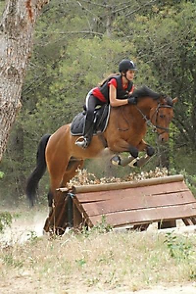 Cross 20121016 1861449722