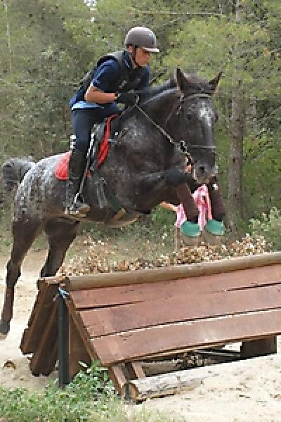 Cross 20121016 1942132130