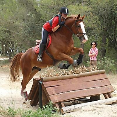 Cross 20121016 1967416618