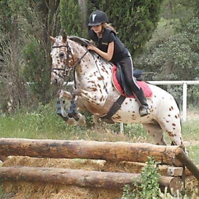 Cross 20121016 2019046908