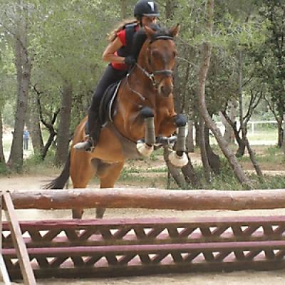 Cross 20121016 2036058478