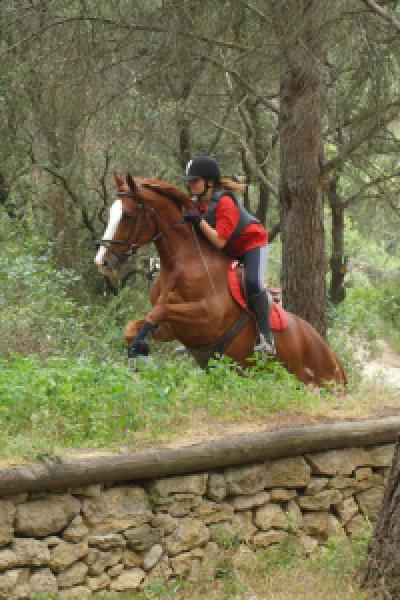 Cross 20130610 1092310784