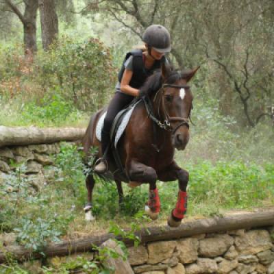 Cross 20130610 1295792949